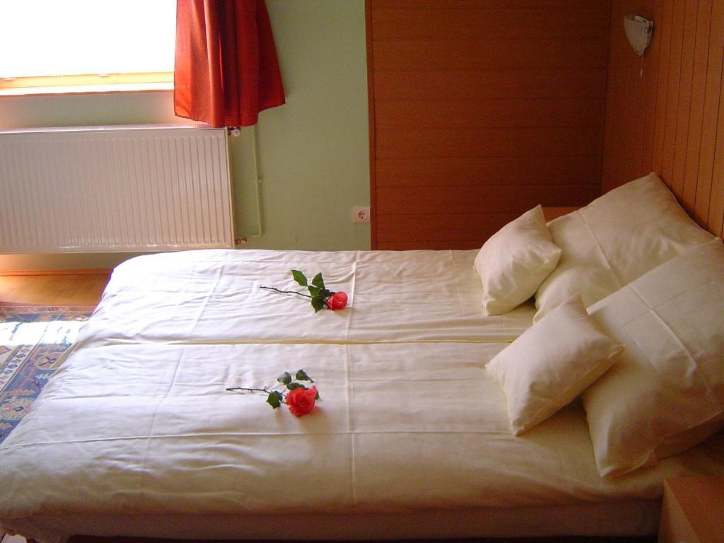 Hotel Lunczer Vendeghaz Mosonmagyaróvár Pokoj fotografie